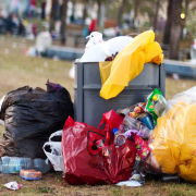 Roll Off Dumpster Rental - LePage & Sons - Overflow Garbage